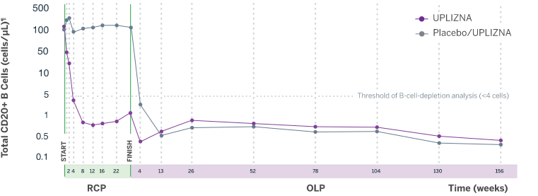 Graph illustrating UPLIZNA efficacy in rapid and sustained B-cell depletion over 3 years, showing that B-cell depletion was demonstrated at 8 days and at all timepoints in an exploratory analysis