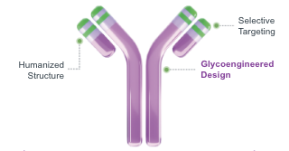 Molecular Illustration highlighting the glycoengineered design of UPLIZNA, a key aspect of its mechanism of action that enhances binding with natural killer cells by removing fucose sugar molecules, thereby overcoming a genetic barrier affecting the efficacy of many monoclonal antibodies