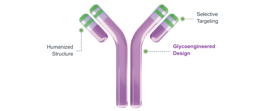 Molecular Illustration highlighting the glycoengineered design of UPLIZNA, a key aspect of its mechanism of action that enhances binding with natural killer cells by removing fucose sugar molecules, thereby overcoming a genetic barrier affecting the efficacy of many monoclonal antibodies
